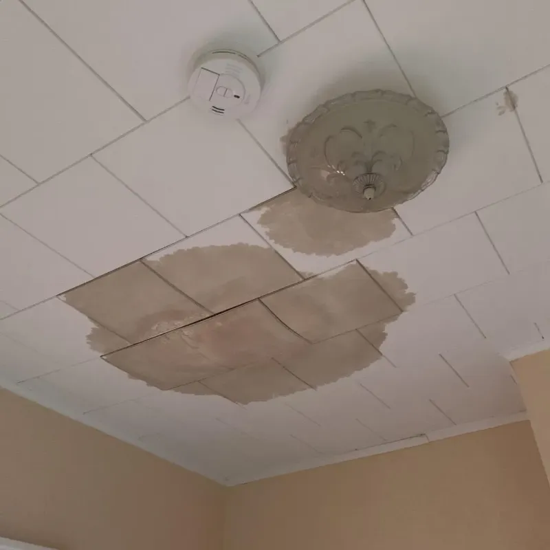 Ceiling Water Damage Repair in Marysville, CA